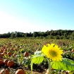 2008-10-07 (056).jpg